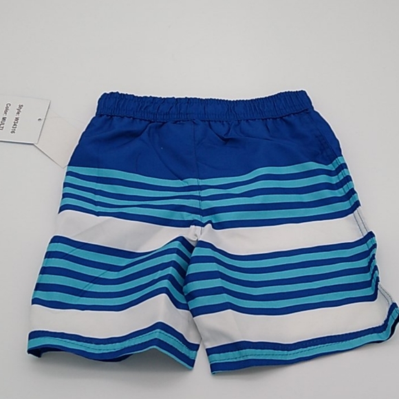 Freestyle Revolution Striped Swim Trunks - Picture 2 of 2